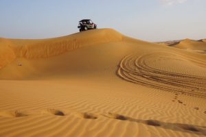 Arabische Emirate Dubai Urlaub Wüste