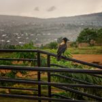Faszination Ruanda: Sehenswürdigkeiten des Landes in Ost-Afrika